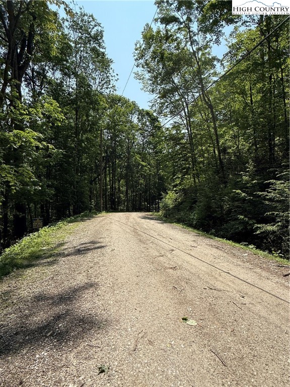 115 Hollow Tree Road Beech Mountain, NC 28604 - Photo 5 of 5 a view of empty space with large trees