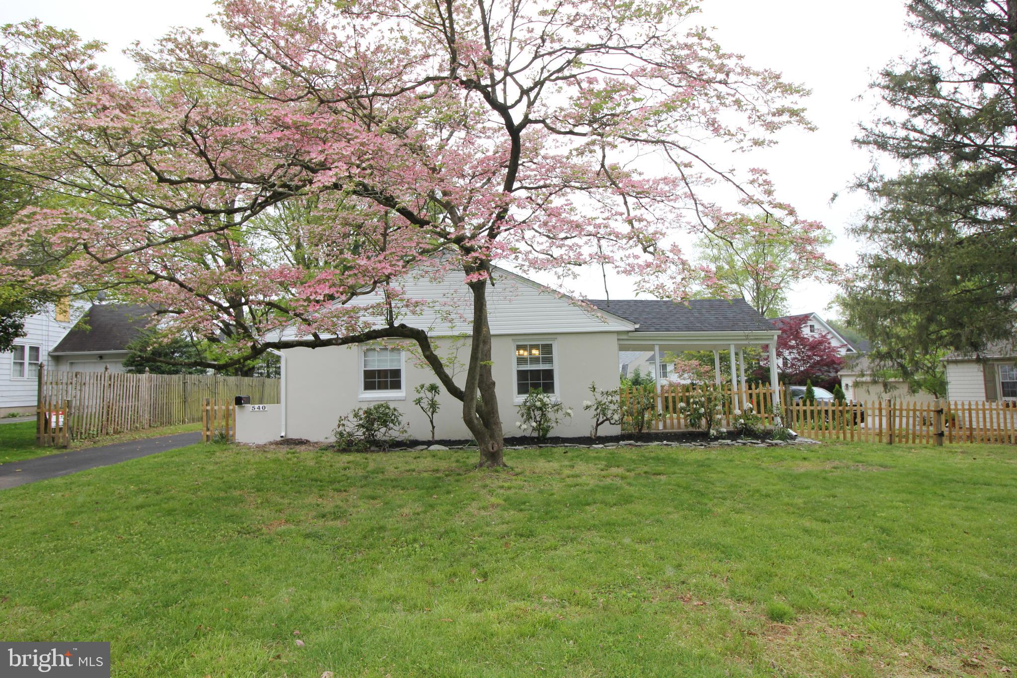 540 Chews Landing Road Haddonfield, NJ 08033 - Photo 22 of 30