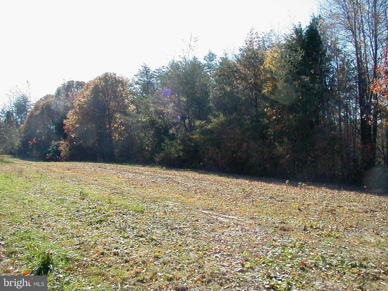 Mt Calvert Road, Unit PARCEL C Upper Marlboro, MD 20772 - Photo 4 of 7 Exterior (General)