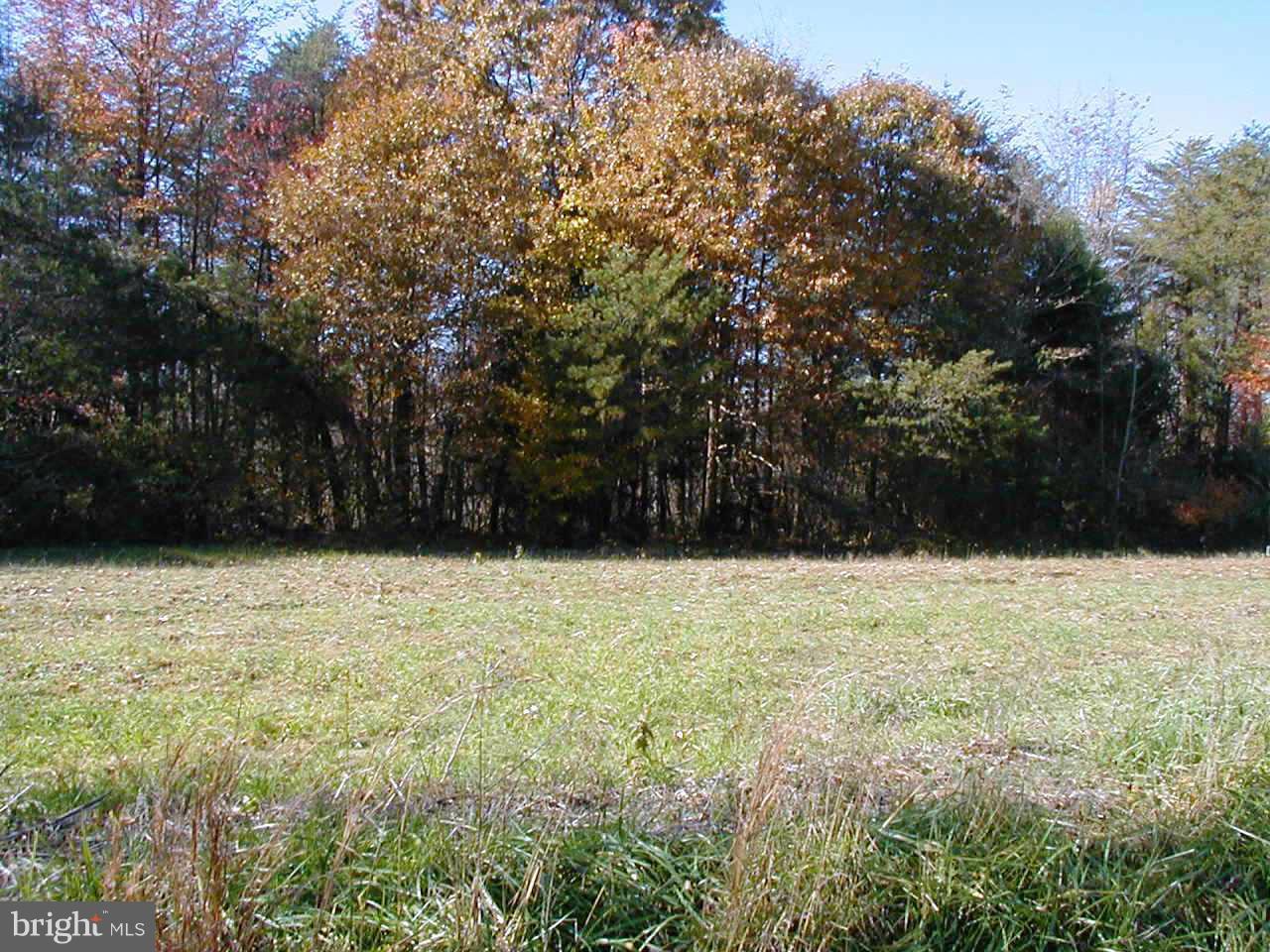 Mt Calvert Road, Unit PARCEL C Upper Marlboro, MD 20772 - Photo 5 of 7 Exterior (General)