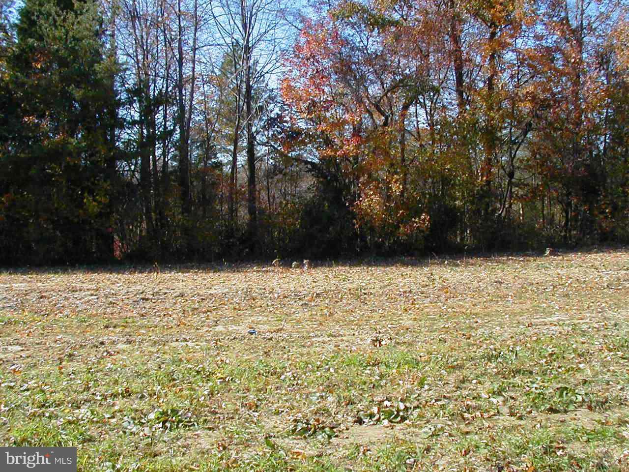 Mt Calvert Road, Unit PARCEL C Upper Marlboro, MD 20772 - Photo 6 of 7 Exterior (General)