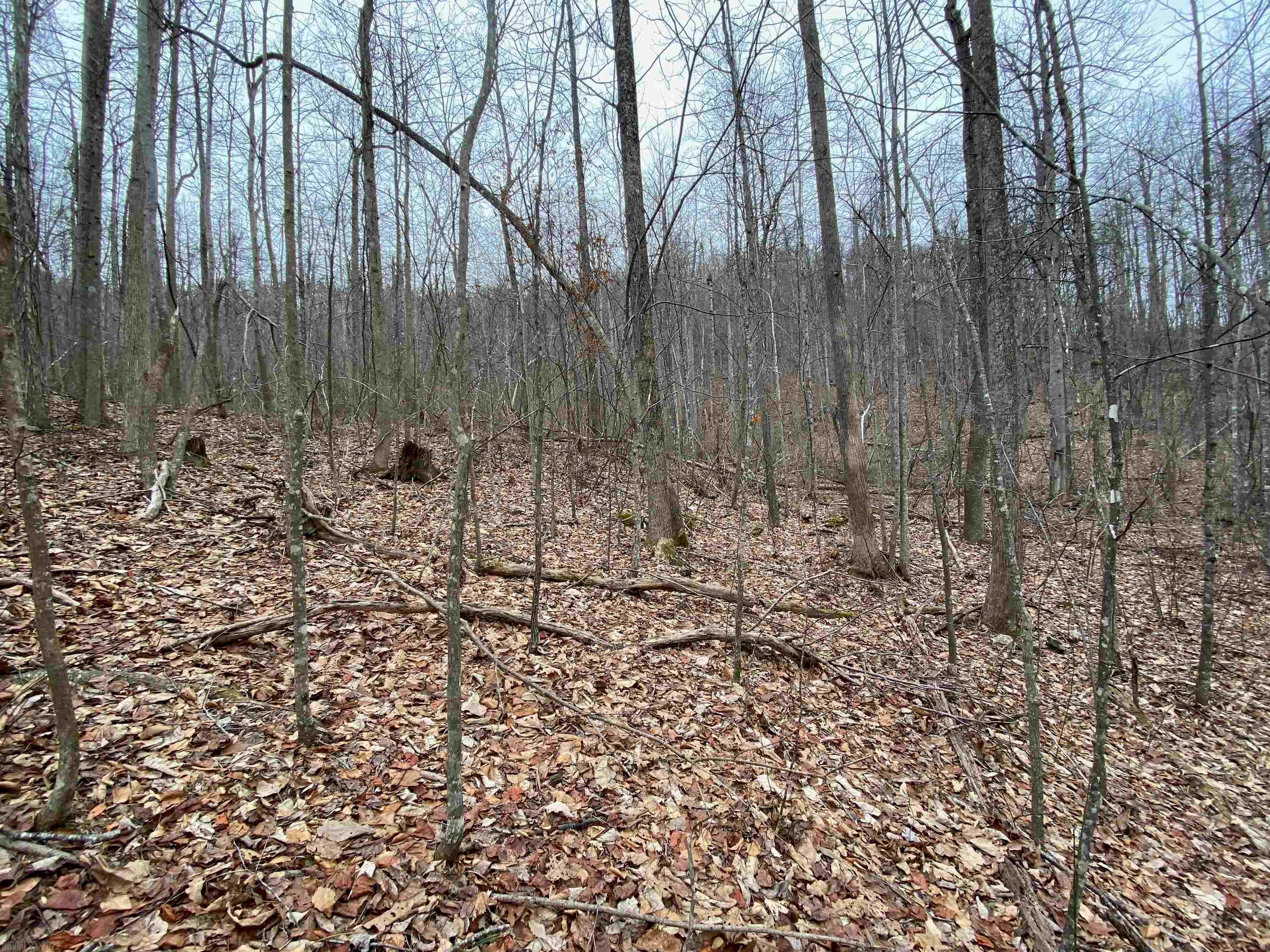 Tbd Broad Hollow Road Floyd, VA 24091 - Photo 17 of 26 Gallery Image 17