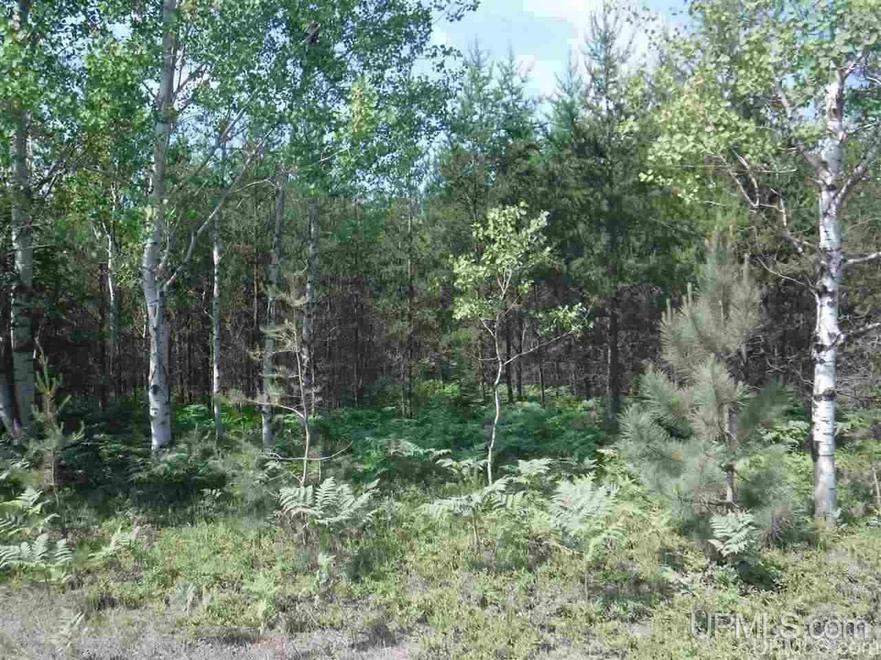 Tbd South Little Traverse Road Lake Linden, MI 49945 - Photo 2 of 7