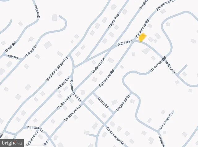 $35,000 | Lot 333 Sycamore Road, Mount Jackson, VA 22842