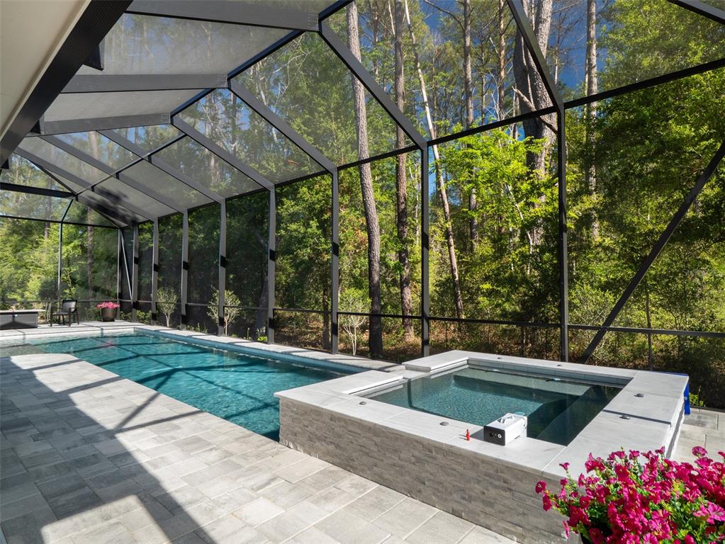 14828 Southwest 9th Lane Newberry, FL 32669 - Photo 33 of 45 a view of outdoor space yard and swimming pool