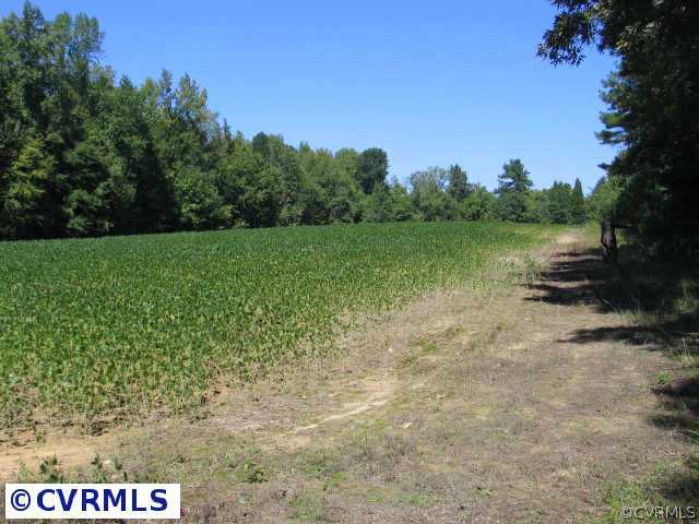 1 Ebenezer Road Warfield, VA 23889 - Photo 3 of 10 Other
