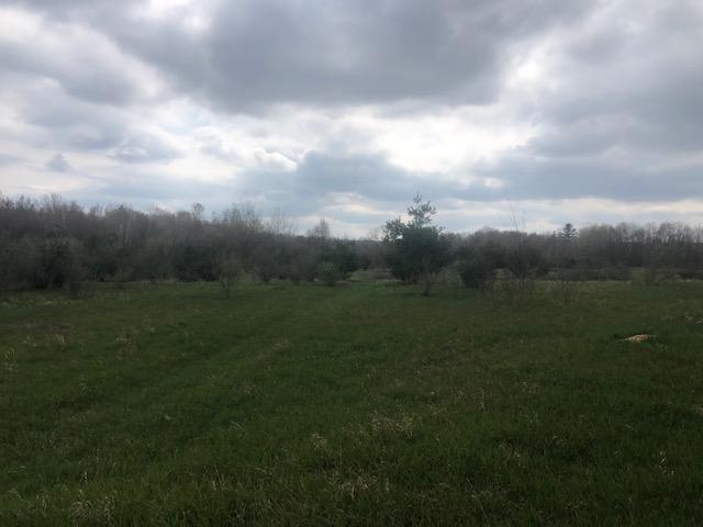 1345 Taft Road Remus, MI 49340 - Photo 1 of 5 1