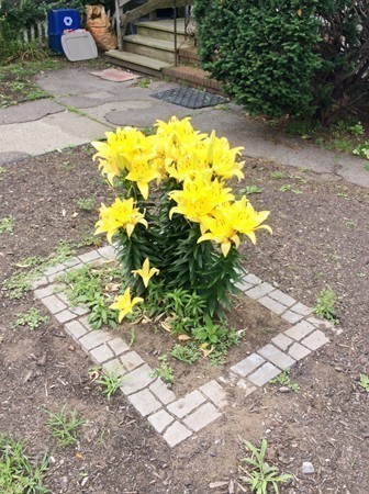 592 Trapelo Road Belmont, MA 02478 - Photo 23 of 23 a view of a pathway with a yard