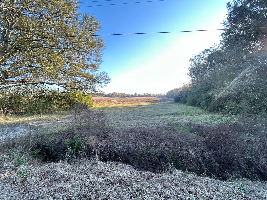 51.8-ac Hadden Road Dothan, AL 36301 - Photo 18 of 43
