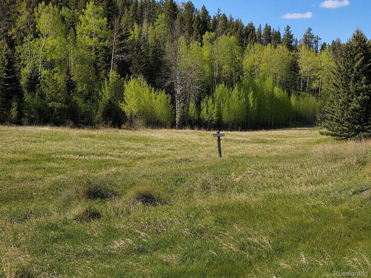 Lot 1 Co Road Westcliffe, CO 81252 - Photo 4 of 42