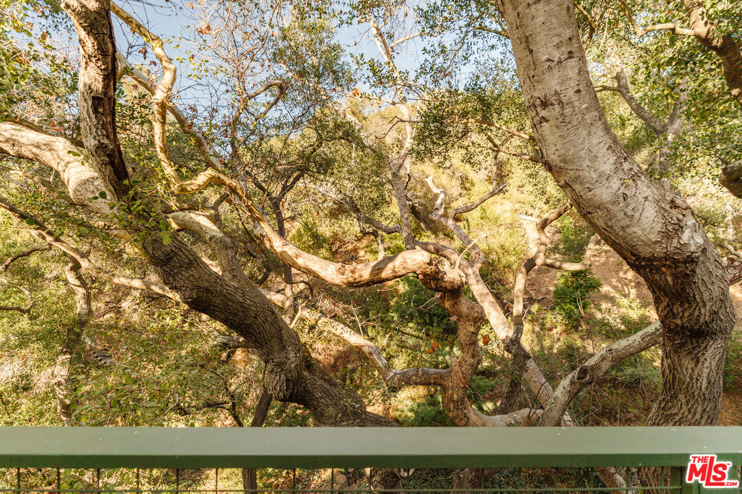 231 Muerdago Road Topanga, CA 90290 - Photo 45 of 52
