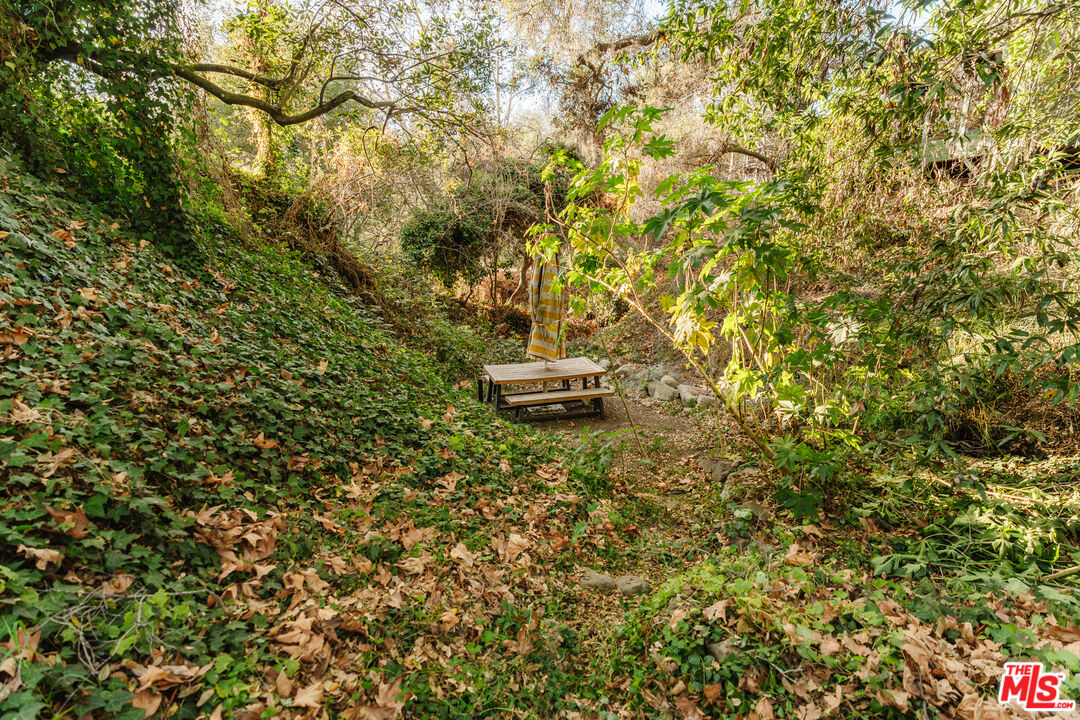 231 Muerdago Road Topanga, CA 90290 - Photo 46 of 52