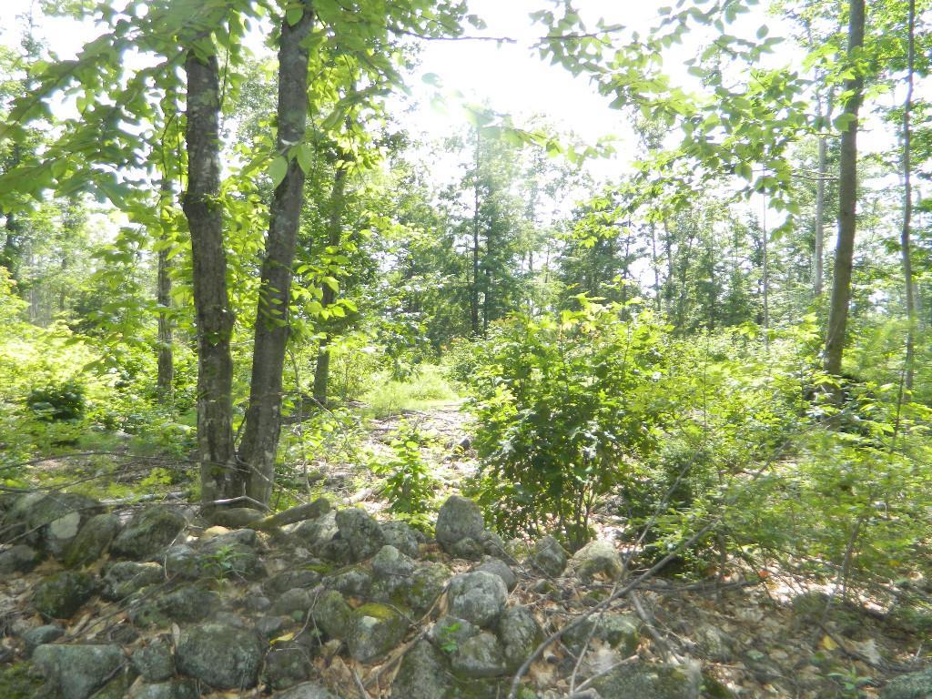 Lot 11-1 Avery Road Waterboro, ME 04087 - Photo 3 of 5 Lot 11