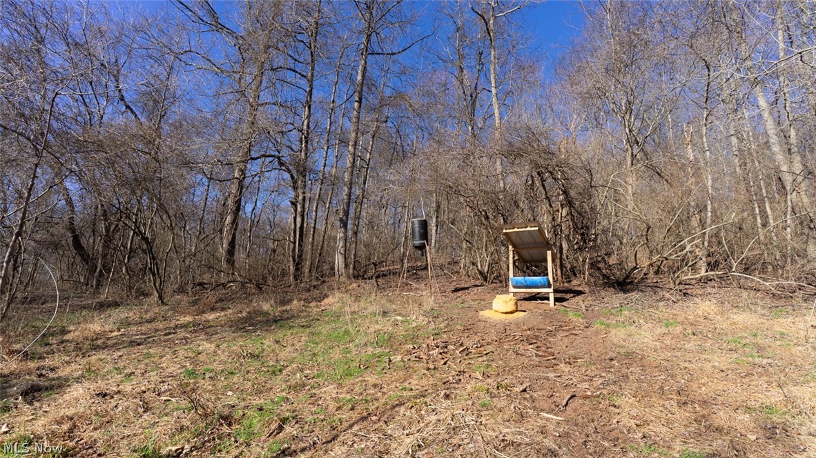 0 Clem Garvin Road Caldwell, OH 43724 - Photo 14 of 50 View of yard