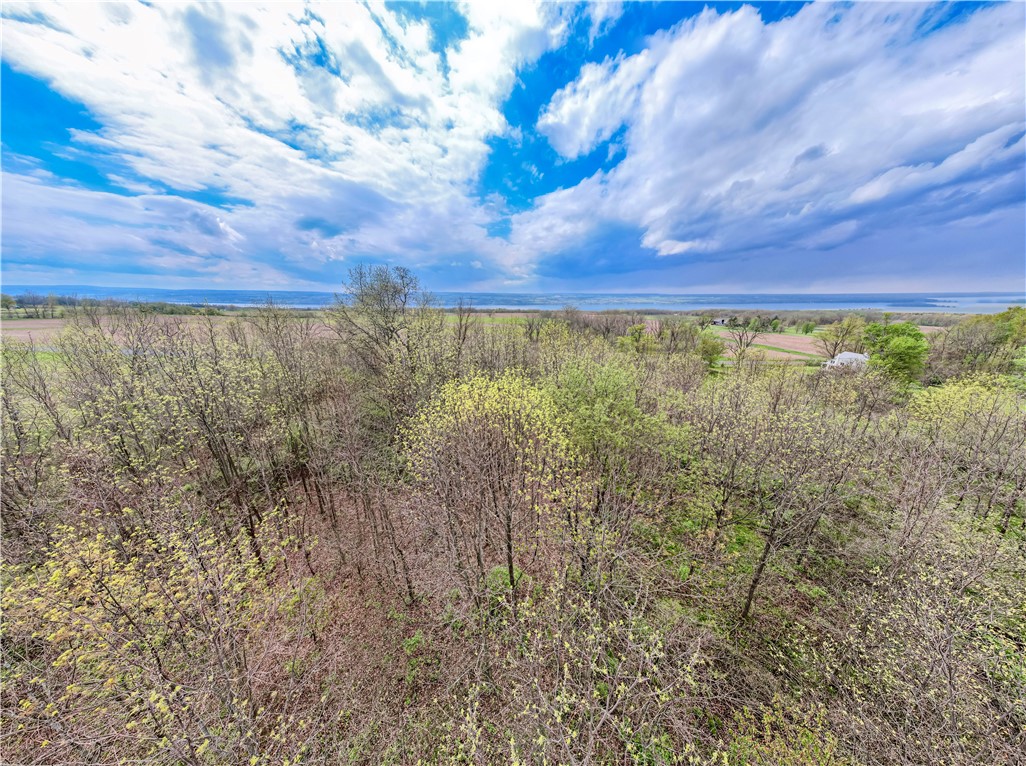 Upper Lake Road Lodi, NY 14860 - Photo 8 of 9