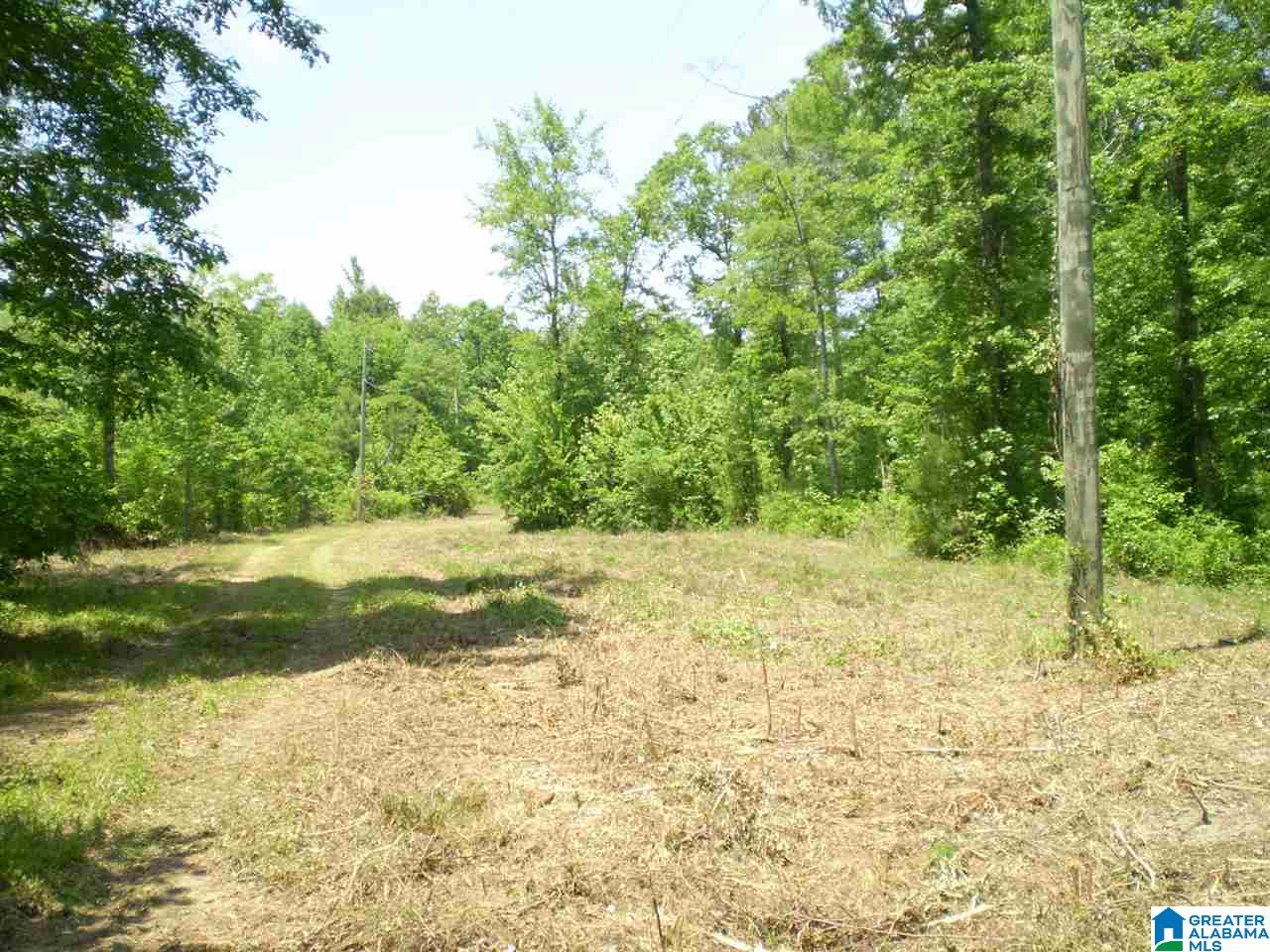 298 Waldrop Road, Unit TR 12 Ashville, AL 35953 - Photo 28 of 29