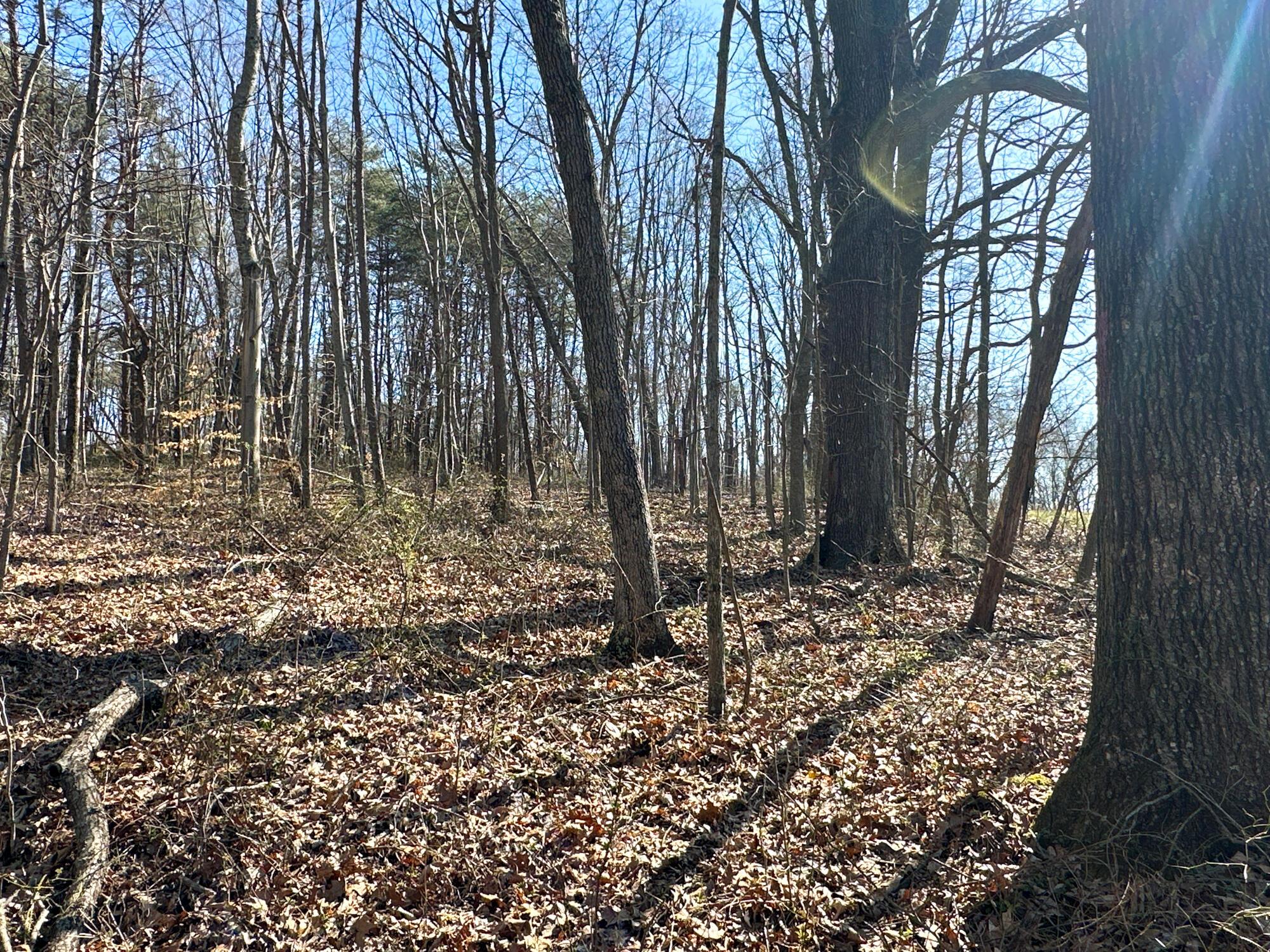 0 Griffith Road Logan, OH 43138 - Photo 2 of 44 IMG_1975 2