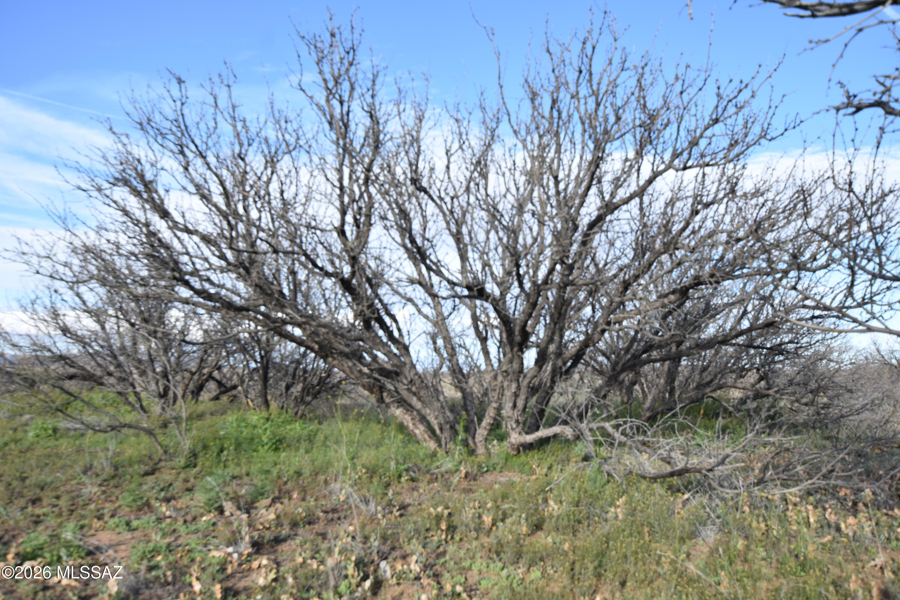 East Howling Wolf Road Willcox, AZ 85643 - Photo 15 of 49