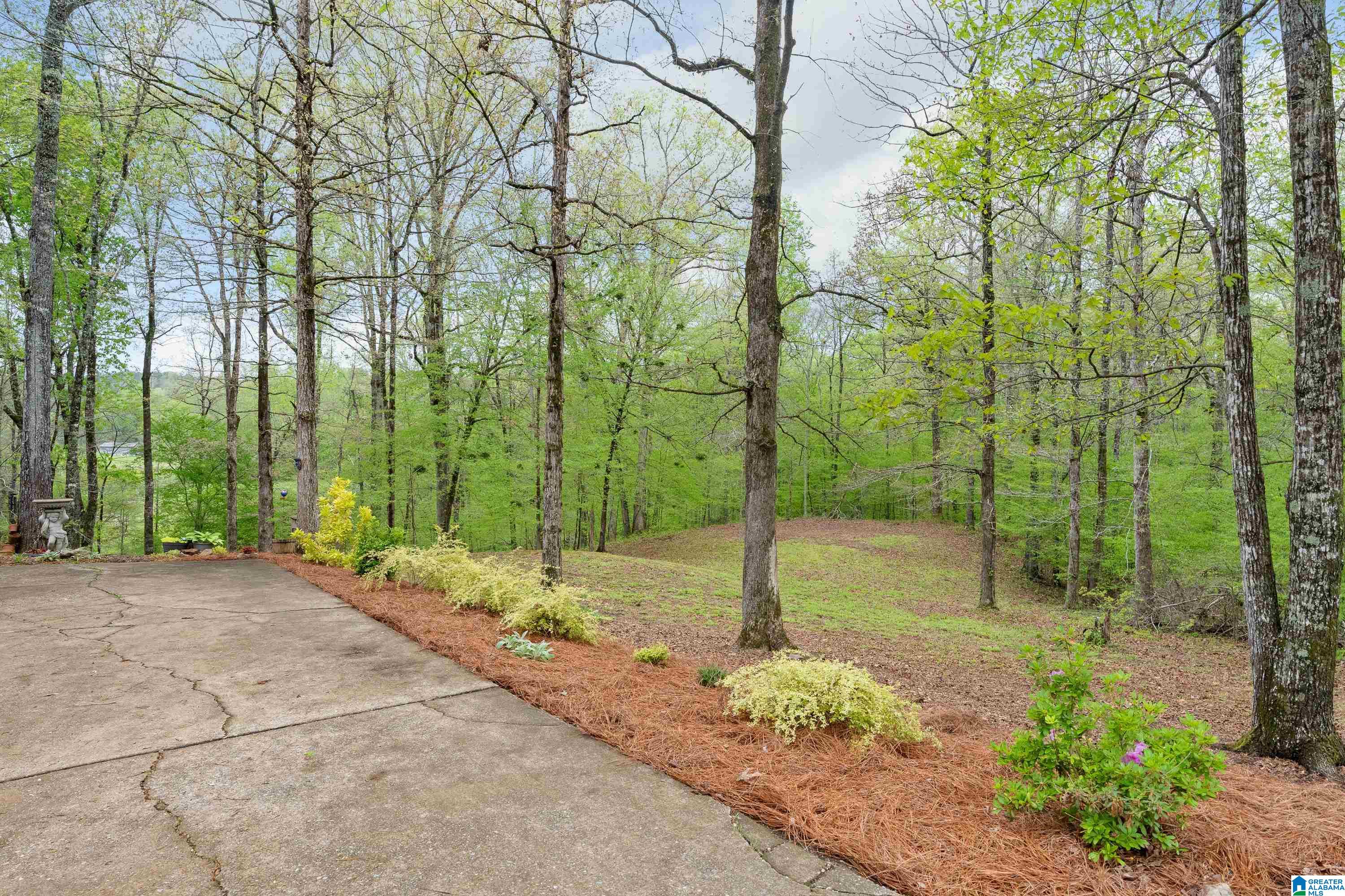 3110 Highway 69 Chelsea, AL 35043 - Photo 36 of 36