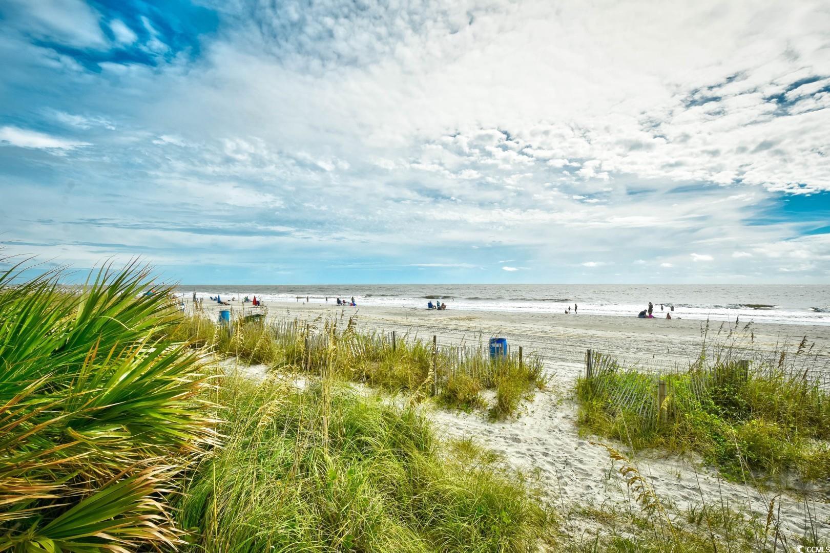 1207 South Ocean Boulevard, Unit 50809 Myrtle Beach, SC 29577 - Photo 19 of 37