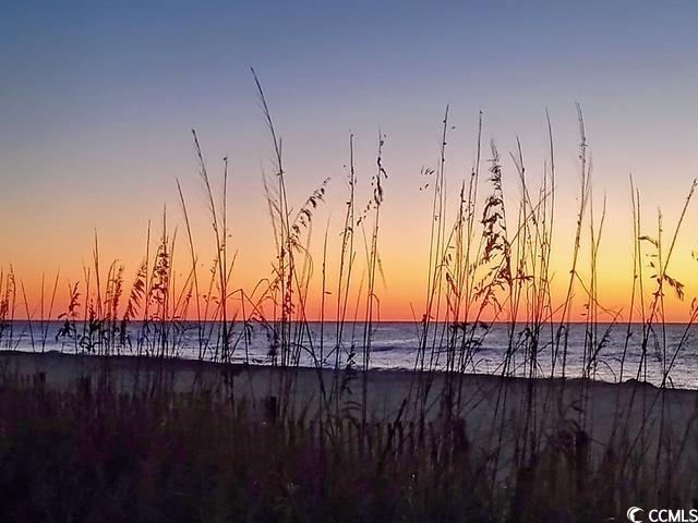 1207 South Ocean Boulevard, Unit 50809 Myrtle Beach, SC 29577 - Photo 36 of 37