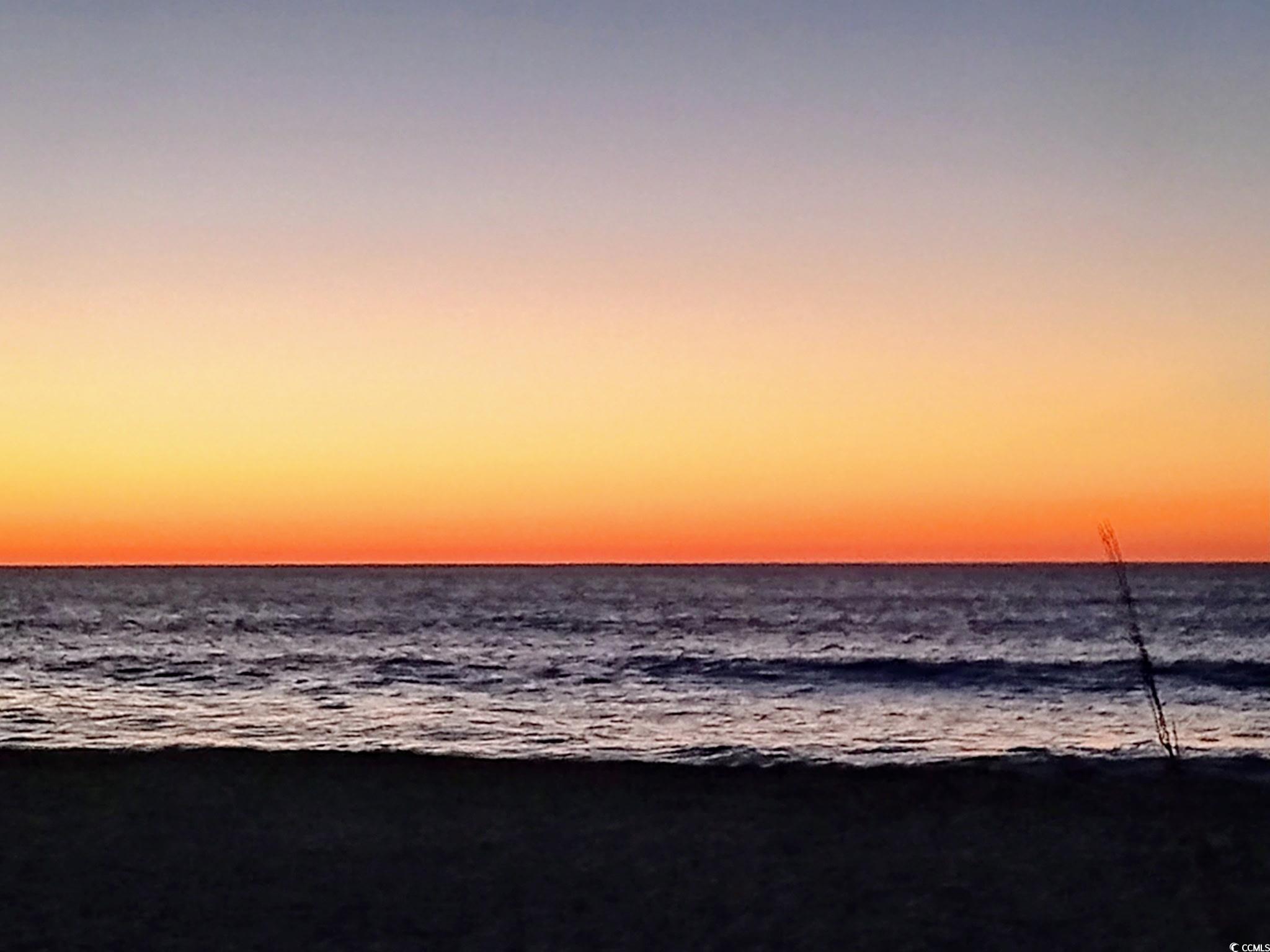 1207 South Ocean Boulevard, Unit 50809 Myrtle Beach, SC 29577 - Photo 37 of 37