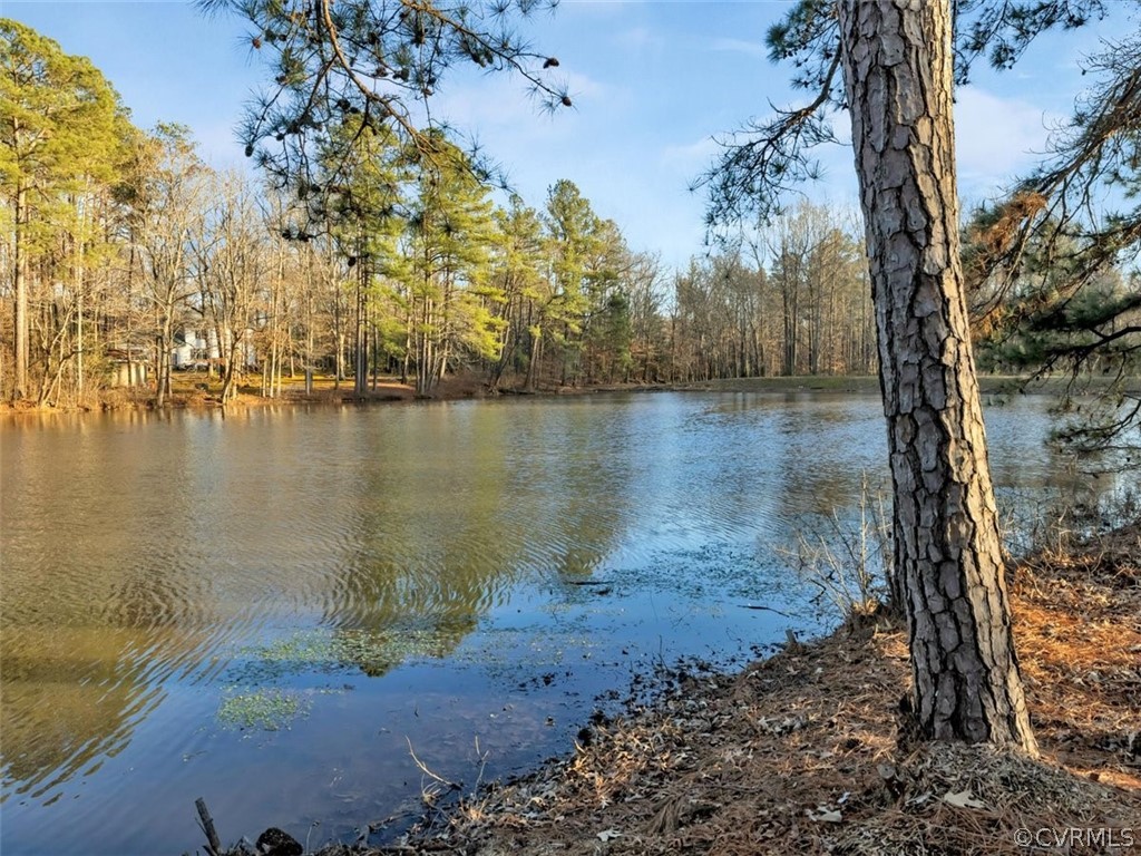 1321 Hybla Road North Chesterfield, VA 23236 - Photo 33 of 36 Gallery Image 33