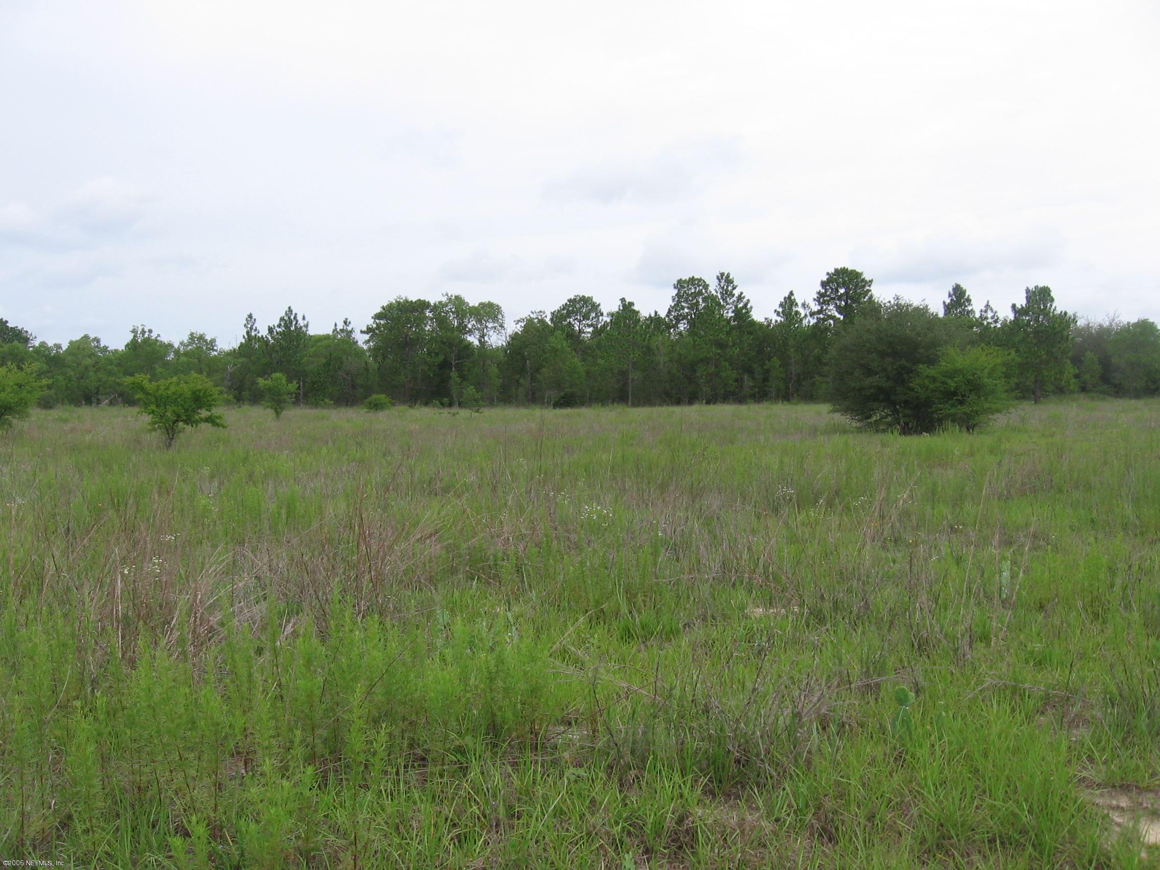 5882 Sequoia Road Keystone Heights, FL 32656 - Photo 2 of 2 cleared homes only lot