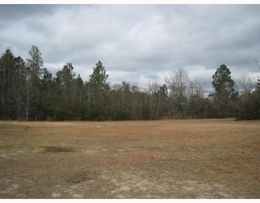 20419 Saucier Lizana Road Saucier, MS 39574 - Photo 7 of 8 Additional Photo