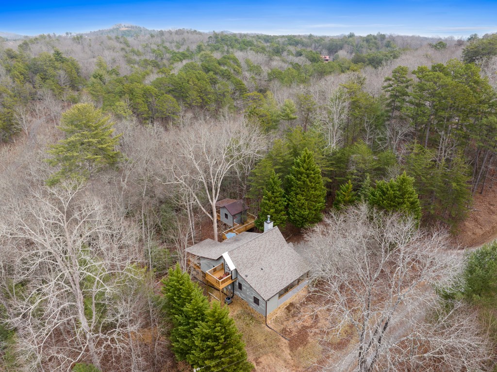 290 Turkey Trot Road Morganton, GA 30560 - Photo 3 of 43