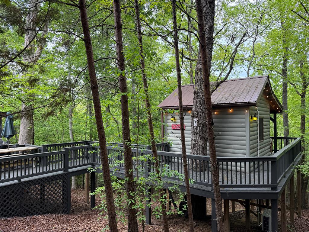 290 Turkey Trot Road Morganton, GA 30560 - Photo 45 of 47