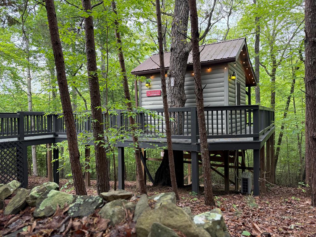 290 Turkey Trot Road Morganton, GA 30560 - Photo 46 of 47