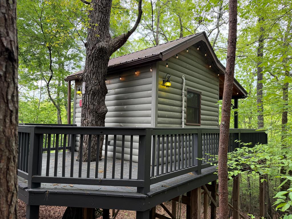 290 Turkey Trot Road Morganton, GA 30560 - Photo 47 of 47