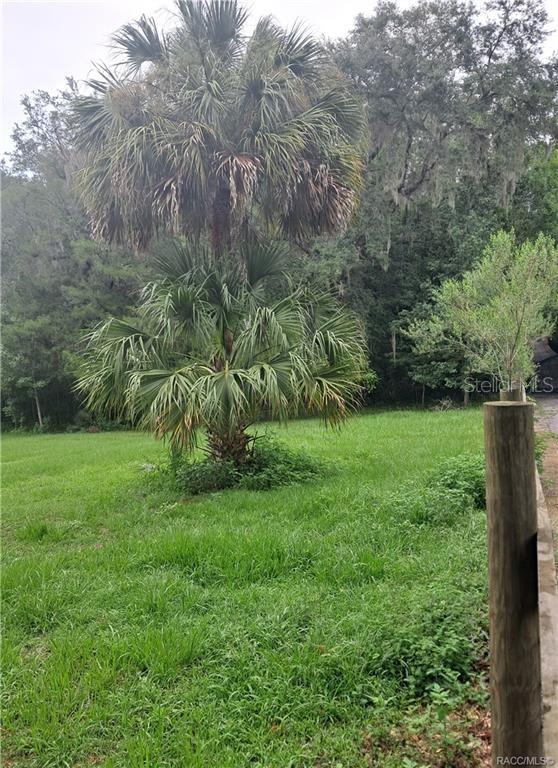 130th Street Belleview, FL 34420 - Photo 3 of 5 a view of a garden