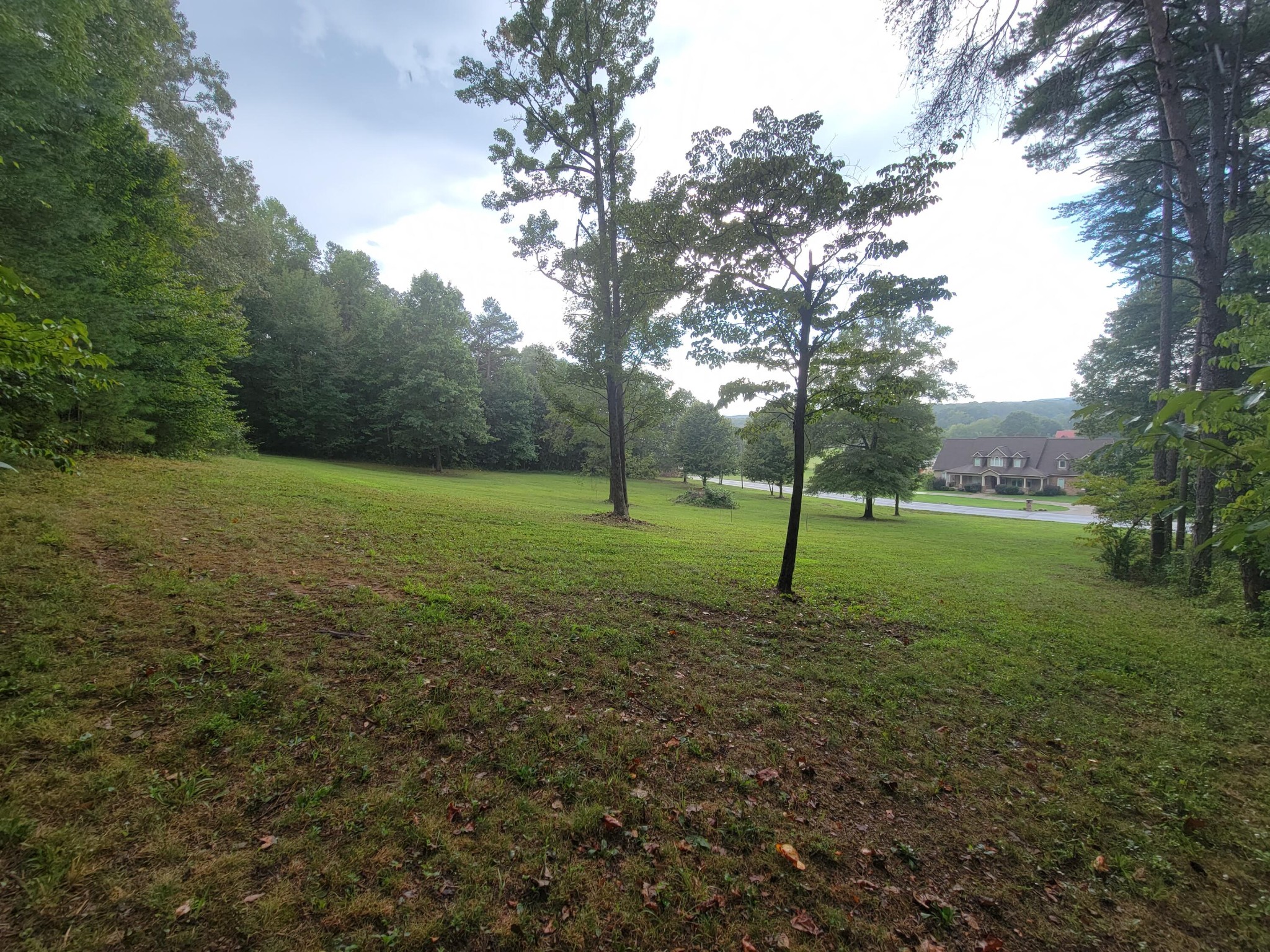 0 Northwest Candies Creek Ridge Road Charleston, TN 37310 - Photo 7 of 12 Gallery Image 7