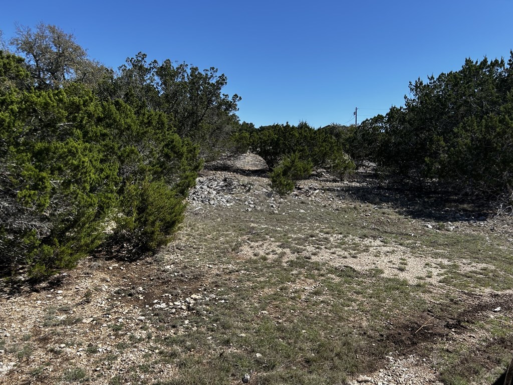 570 Ranch Rim Drive West Hunt, TX 78024 - Photo 3 of 5