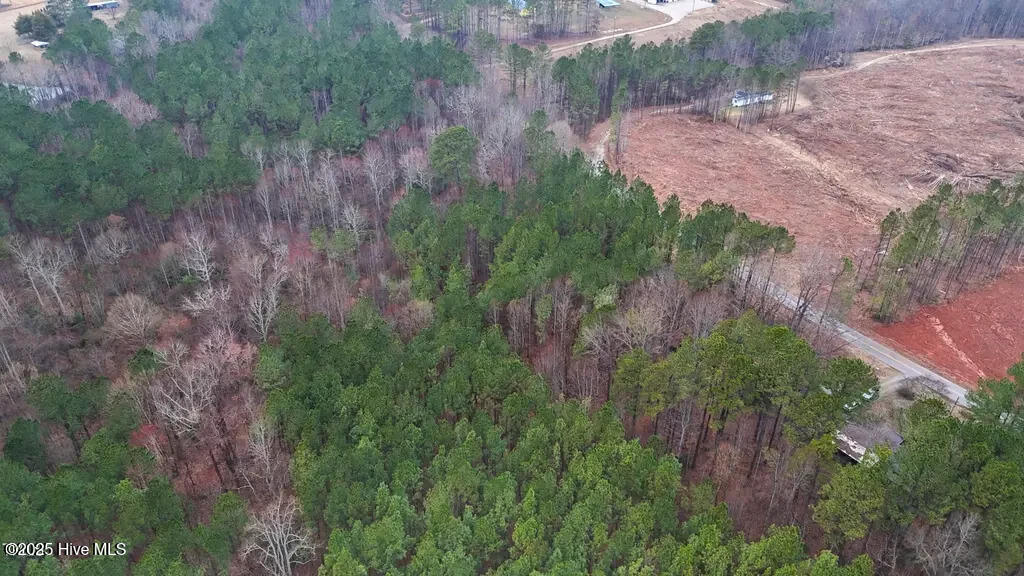 327 John Newsome Road Littleton, NC 27850 - Photo 7 of 8 327JohnNewsomeRd_56872_7