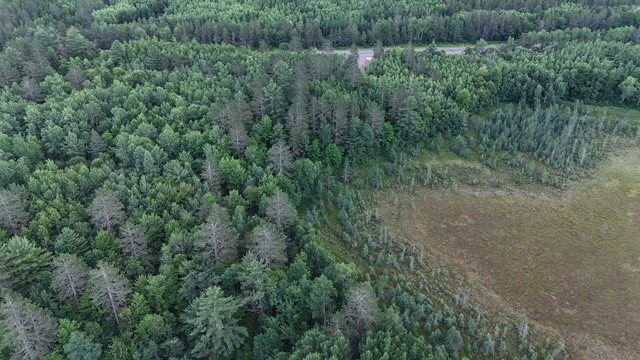 0 Highway 63 Springbrook Wi 54875 Springbrook, WI 54875 - Photo 19 of 19