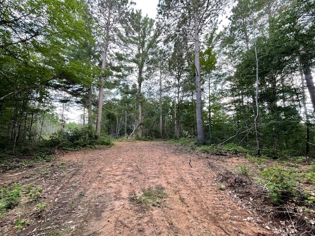 0 Highway 63 Springbrook Wi 54875 Springbrook, WI 54875 - Photo 10 of 19