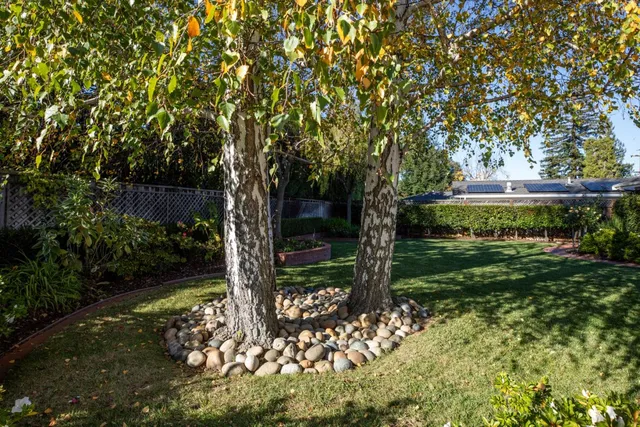a view of a back yard
