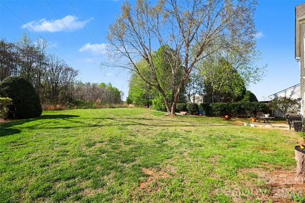 a view of a field with trees