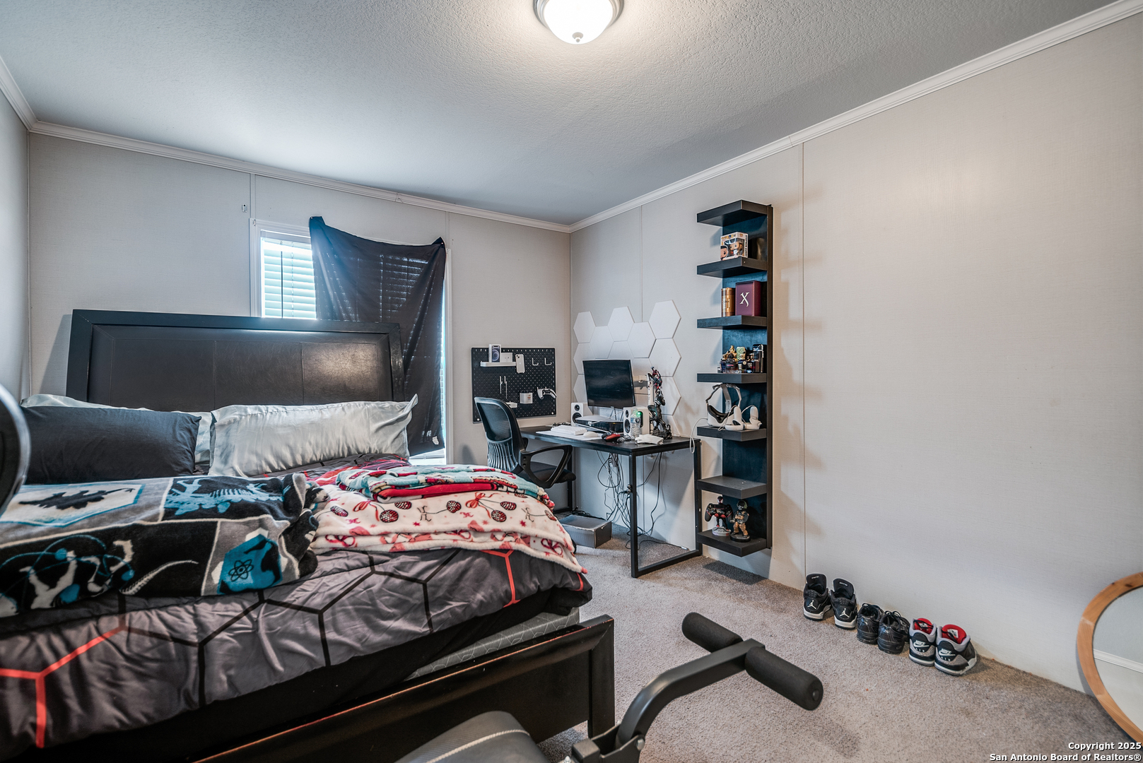 9233 Nelson Road San Antonio, TX 78252 - Photo 19 of 25