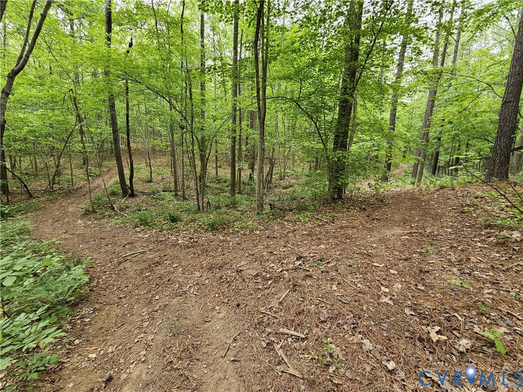 981 Scotts Bottom Road Dillwyn, VA 23936 - Photo 63 of 73 Gallery Image 63