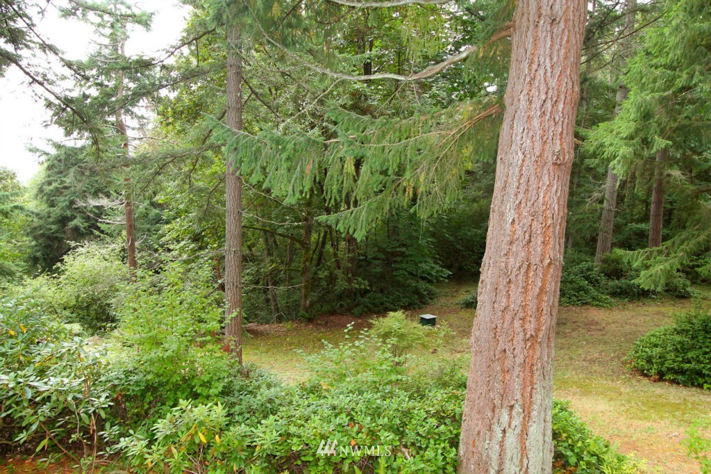 13809 Southwest 240th Street Vashon, WA 98070 - Photo 16 of 22 Gallery Image 16