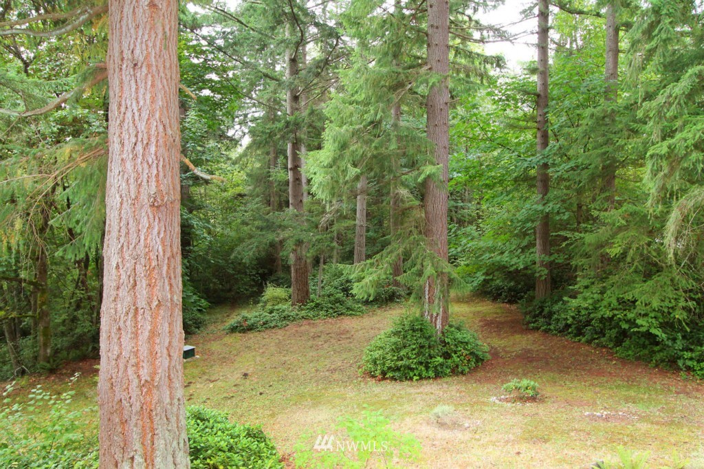13809 Southwest 240th Street Vashon, WA 98070 - Photo 17 of 22 Gallery Image 17