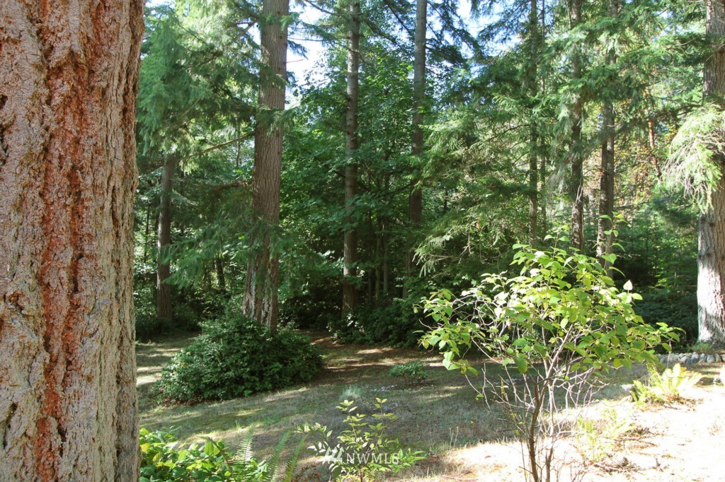 13809 Southwest 240th Street Vashon, WA 98070 - Photo 19 of 22 Gallery Image 19