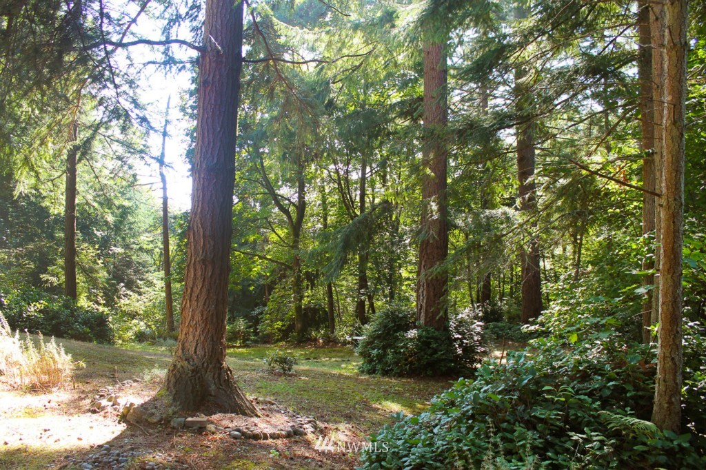 13809 Southwest 240th Street Vashon, WA 98070 - Photo 20 of 22 Gallery Image 20