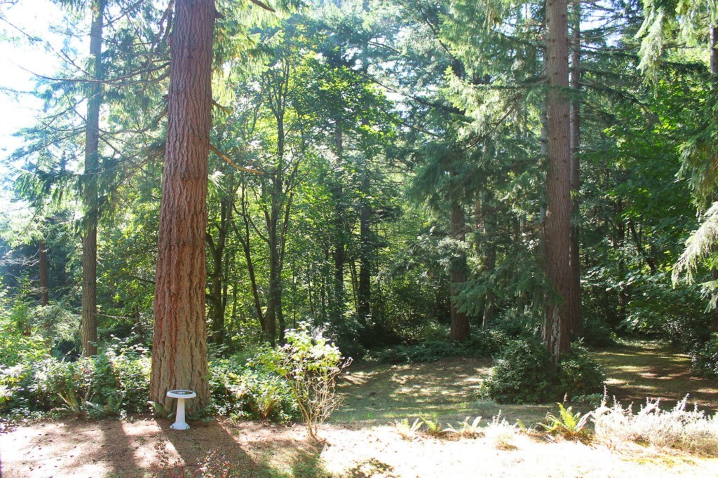 13809 Southwest 240th Street Vashon, WA 98070 - Photo 21 of 22 Gallery Image 21