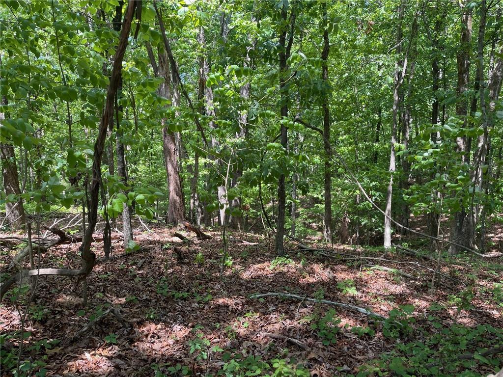 1 A Chalcrest Way Cave Spring, GA 30124 - Photo 3 of 54 Gallery Image 3
