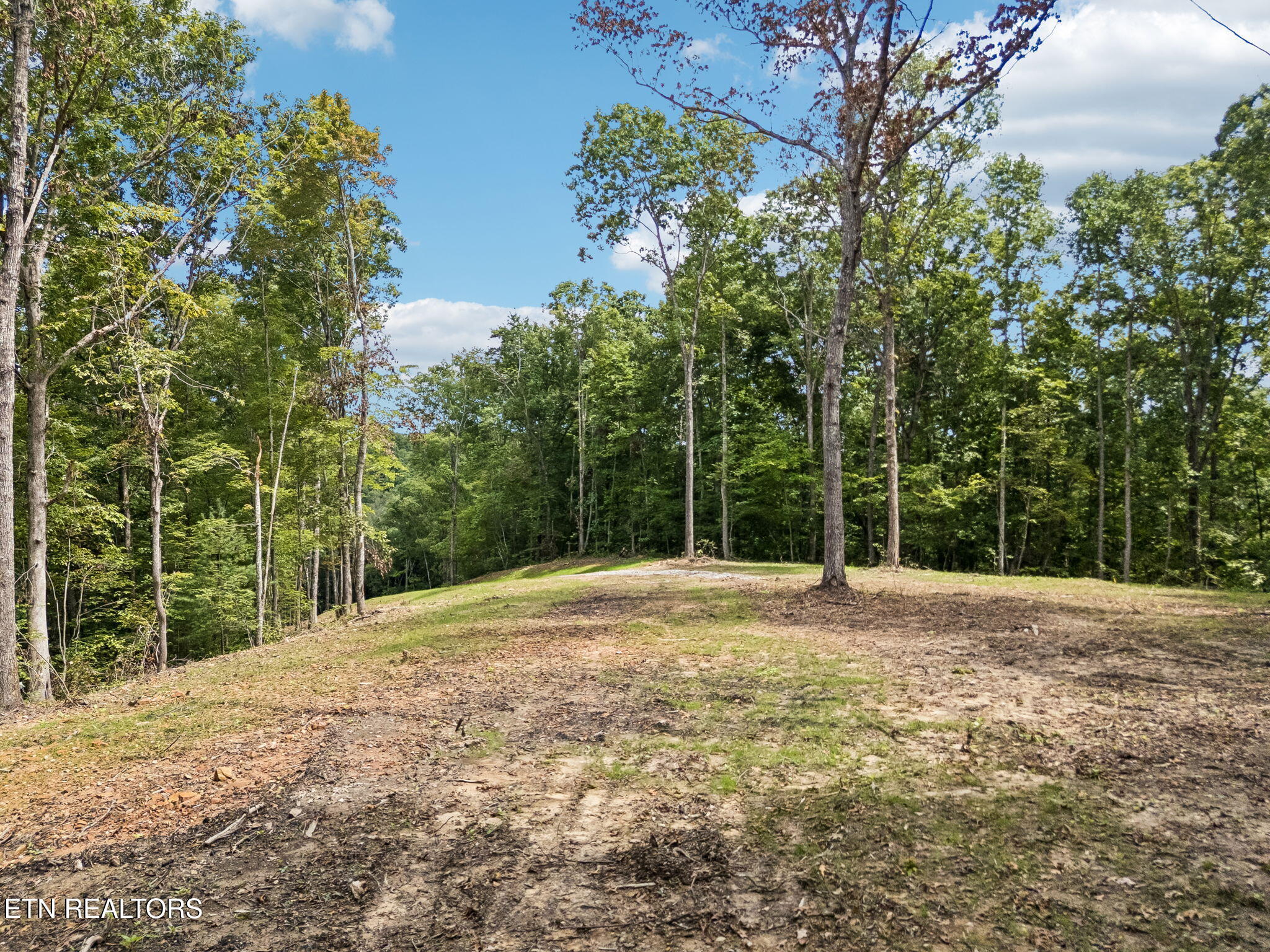 Sheep Ranch Road, Unit TRACT 7 Robbins, TN 37852 - Photo 22 of 35 28-1 Sheep Ranch Rd Lot 7 - 028
